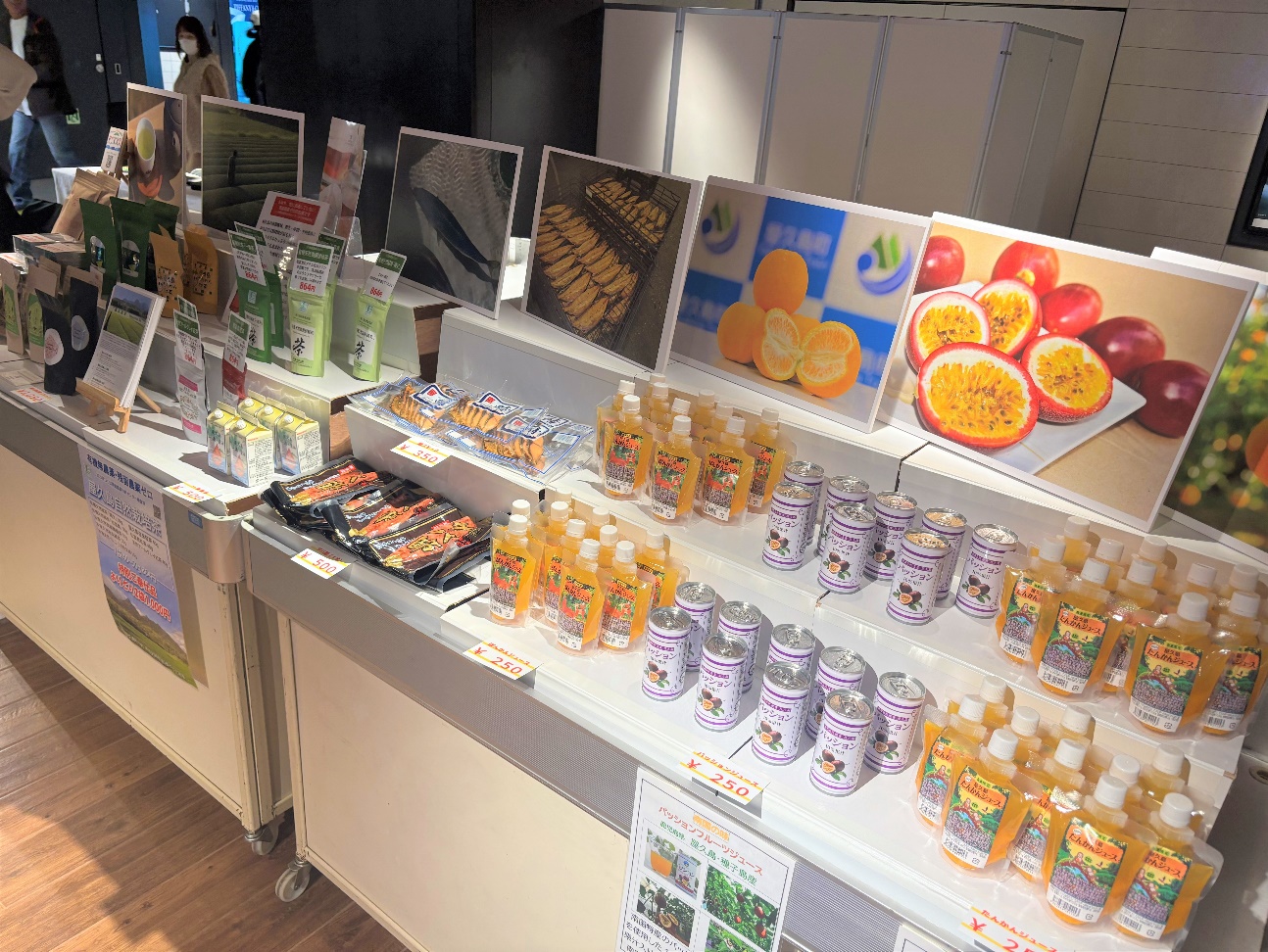 TEAM 銀座駅で屋久島と触れ合う